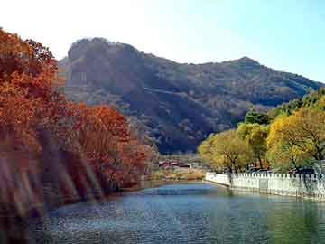 奥门天天开奖免费资料，福建马场